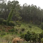 Casa Da Tia Dulce Holiday home Pataias