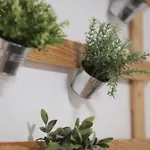 Casa Da Tia Dulce Pataias