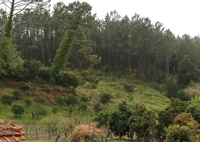 Casa Da Tia Dulce Prázdninový dům Pataias
