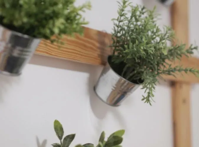 Casa Da Tia Dulce Pataias